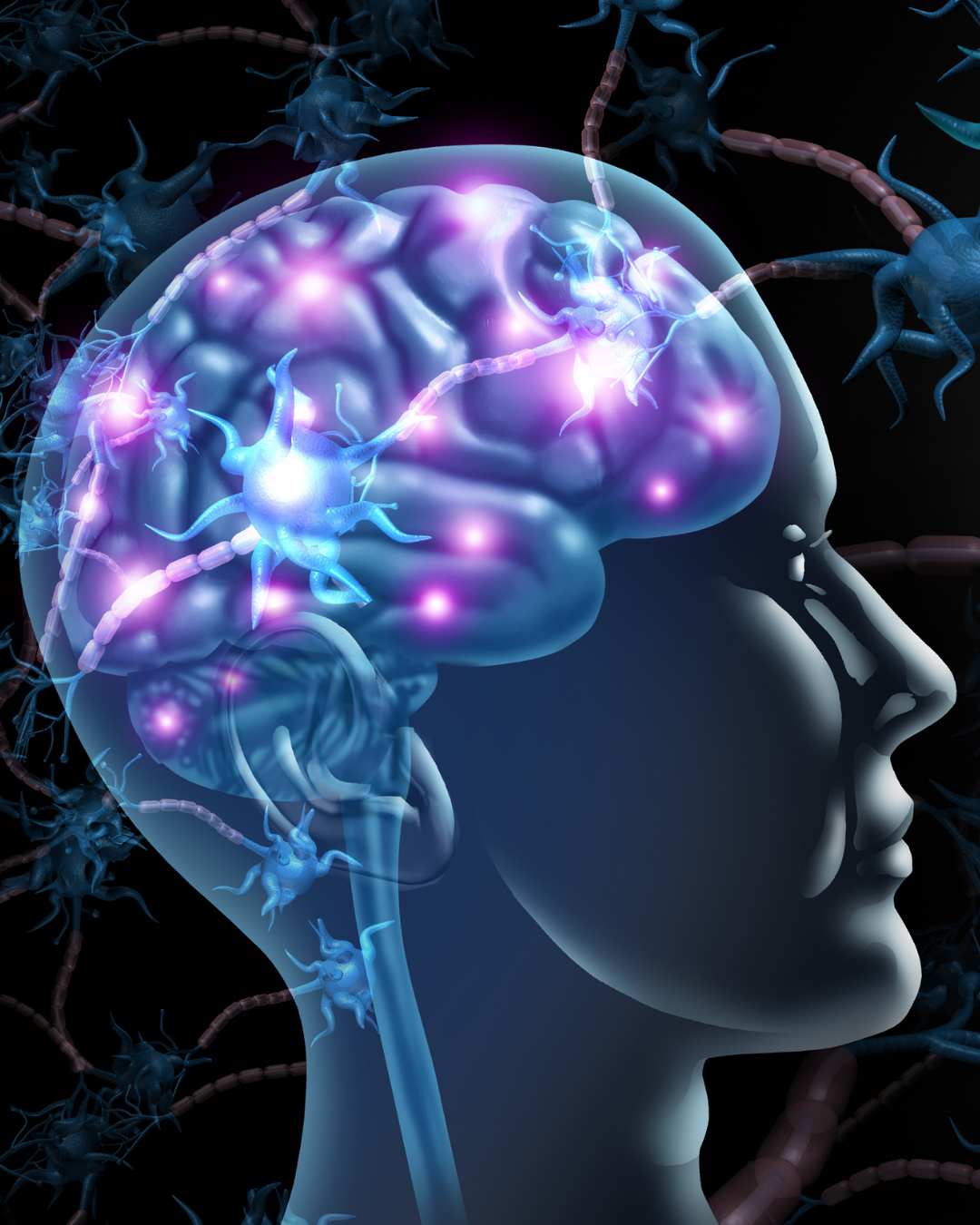 Base científica e emocional